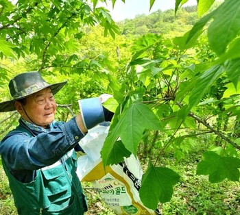 메인사진